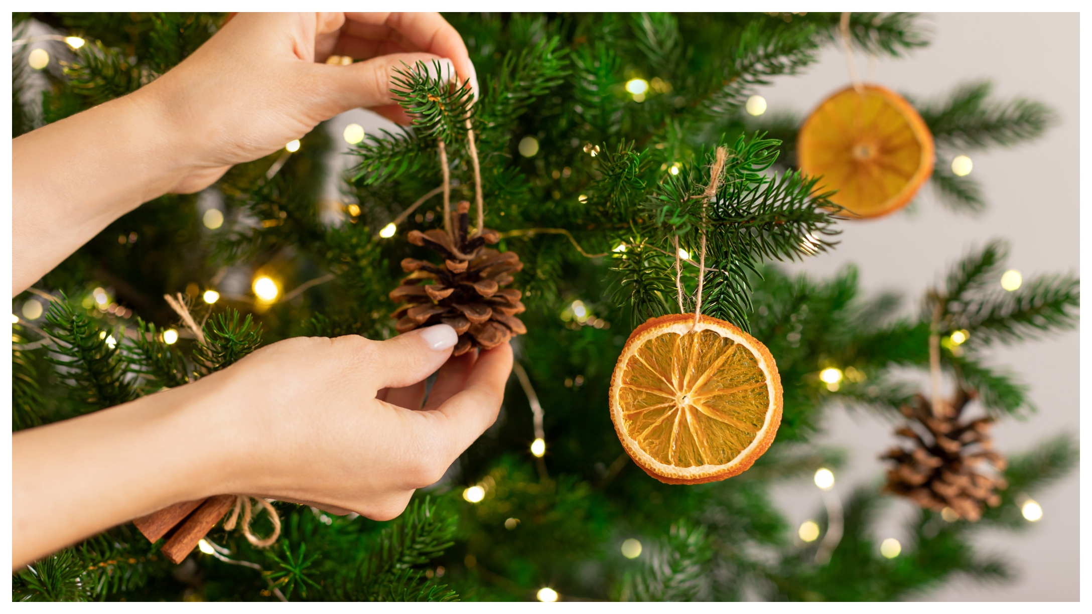 Dried Oranges on Christmas tree