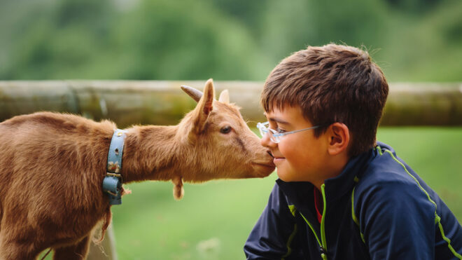 kid with baby goat at petting zoo