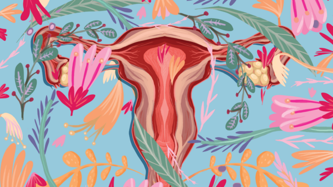 uterus